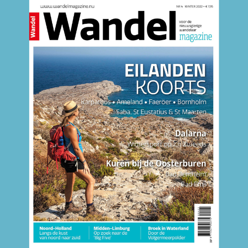 Cover Wandel Magazine